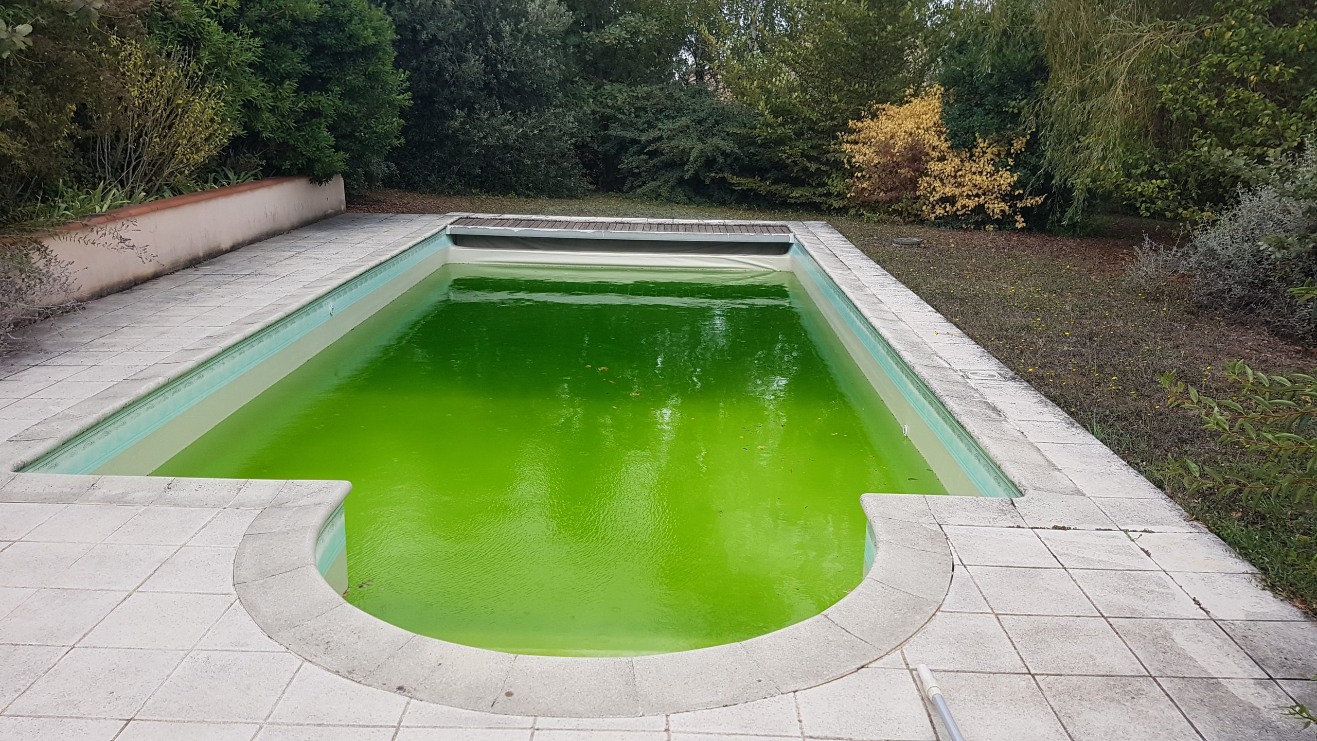 Transformation piscine en cuve d'eau de pluie végétalisée